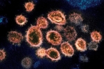 Một biến chủng nCoV có khả năng kháng vaccine Pfizer, AstraZeneca