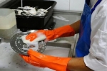 Xôn xao nhà hàng tuyển nhân viên rửa bát lương 1,1 tỷ đồng/năm