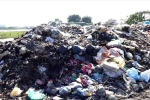 Người dân thôn Hữu Bằng, Hà Nội khốn khổ vì ô nhiễm từ bãi tập kết rác