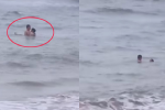 Sốc: Mặc sóng to, cặp đôi ngâm mình dưới nước biển làm 'chuyện ấy', clip 47 giây bị phát tán chóng mặt trên mạng xã hội