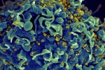 Lại thêm người tự khỏi HIV một cách bí ẩn