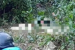 NÓNG: Triệu tập nghi phạm sát hại, giấu xác người phụ nữ giao gà ở Lạng Sơn