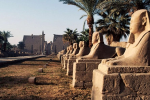 Ai Cập mở đại lộ Nhân sư 3.000 năm tuổi sau 7 thập kỷ khai quật