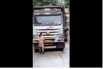 Mạng xã hội dậy sóng với màn 'tâm bất biến' của chị gái ung dung đi bộ trước loạt xe tải bị tắc đường