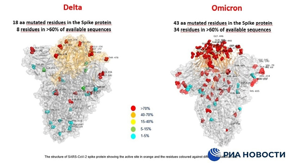 Hình ảnh so sánh biến thể Delta (bên trái) và Omicron của bệnh viện Bambino Gesu. Ảnh: RT.