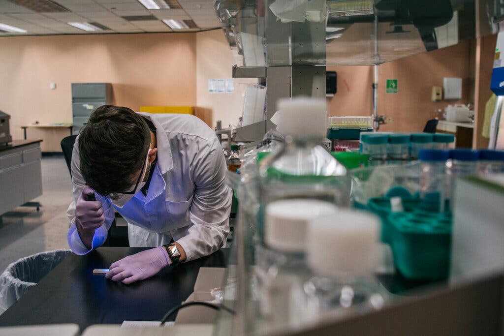 Một nhà khoa học Mỹ phân tích trình tự gene của bệnh phẩm tại phòng thí nghiệm ở thành phố Houston, bang Texas. Ảnh: New York Times.