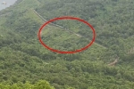 Thực hư clip ghi lại cảnh 'rắn hổ mây' khổng lồ trườn trên sườn núi ở Việt Nam