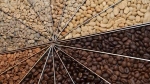 Giá cà phê hôm nay 13/12: Những yếu tố tác động tuần này và thói quen xấu thu hái cà phê nông dân nên bỏ