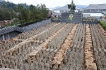 Dự án kinh ngạc của Trung Quốc: Khám phá lăng mộ Tần Thủy Hoàng