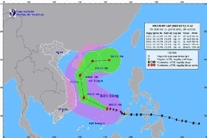 Các tỉnh ven biển từ Thừa Thiên Huế đến Khánh Hòa ứng phó với bão số 9