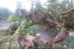90% cây xanh ở đảo Song Tử Tây gãy đổ khi bão Rai quét qua