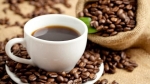 Giá cà phê hôm nay 26/12: Robusta tăng tốt trong mùa Giáng sinh khi nhu cầu cà phê hòa tan duy trì do Omicron