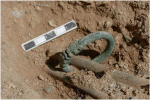 Mở mộ cổ 3.000 tuổi, lộ bí mật sốc về vòng tay hình rồng