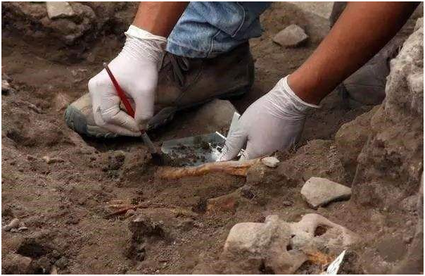 Các chuyên gia phát hiện ngôi mộ của đứa trẻ 3 tuổi tại một vùng quê hẻo lánh.