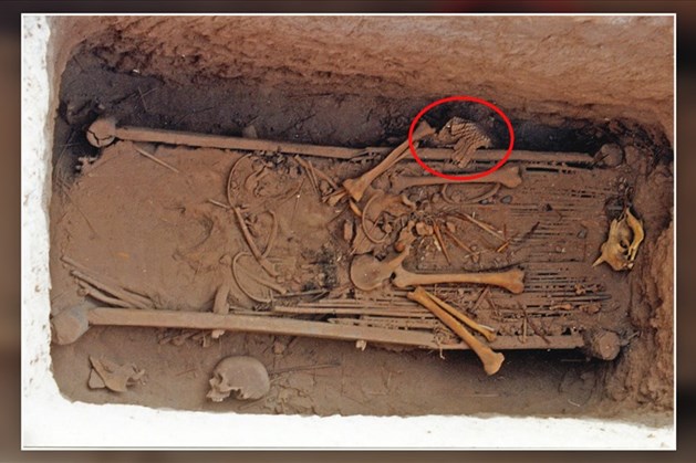 Bộ áo giáp làm từ hơn 5.000 vảy da (khoanh đỏ) được phát hiện trong mộ cổ Trung Quốc. Ảnh: Bảo tàng Turfan.