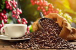 Giá cà phê 14/1: Áp lực bán tháo đẩy Robusta giảm mạnh
