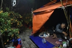'Cắm trại' trên đường phố Hà Nội trông đào quất xuyên đêm