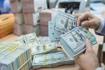 Tỷ giá ngoại tệ ngày 25/1: Đồng USD tăng lên mức cao nhất trong hai tuần qua