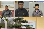Hải Phòng: Bắt tạm giam 3 đối tượng trộm cắp cây cảnh giáp Tết