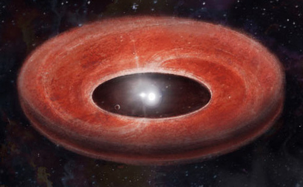 Ảnh đồ họa mô tả về đĩa tiền hành tinh thế hệ thứ 2 quanh một hệ sao đôi mà 1 trong 2 đã trở thành "thây ma" - Ảnh: N. Stecki.