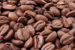 Giá cà phê hôm nay 11/2: Robusta tiếp tục tăng, gần chạm mốc 2.300 USD/tấn