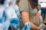 Phát hiện mới về tác dụng của vaccine Pfizer với phụ nữ mang thai