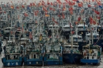 Đội tàu Trung Quốc khai thác quá mức ở Biển Đông