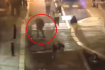 Clip: Cô gái tung 'chiêu độc' giúp cảnh sát tóm gọn nghi phạm trên phố