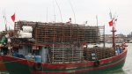 Tàu cá tại Quảng Bình nằm bờ dài ngày do dịch bệnh và giá xăng dầu tặng mạnh
