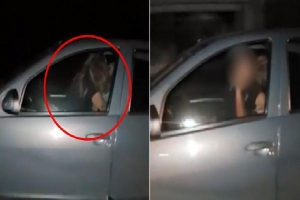 Đi tuần tra ban đêm, cảnh sát phát hiện chiếc xe ôtô rung lắc kỳ lạ ở góc tối, soi đèn kiểm tra phát hiện cảnh kinh hoàng với bé gái 14 tuổi