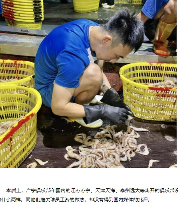 Một lần nữa "anh bán tôm" Hải Huy lại xuất hiện trên truyền thông Trung Quốc