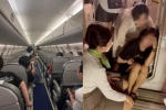 Hành khách bức xúc vì chuyến bay từ Côn Đảo về TP.HCM bị delay và nhân viên máy bay hăm dọa: 'Tắt điện, tắt điều hoà cho chết ngạt luôn'