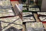 Vợ cựu nghị sĩ Ukraine mang nhiều vali tiền mặt đi sơ tán