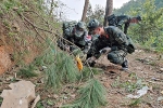 Video: Lực lượng cứu hộ thu gom những mảnh vỡ đầu tiên tại hiện trường máy bay rơi ở Trung Quốc