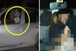 Rúng động: Cô gái trẻ bị 6 người đàn ông xâm hại trên xe hơi ngay giữa ban ngày, người dân chứng kiến kể lại sự việc kinh hoàng