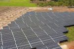 Dự án điện mặt trời sai phạm: EVN có trách nhiệm, Bộ Công Thương vô can?