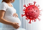 SARS-CoV-2 có lây từ mẹ bầu sang thai nhi không?