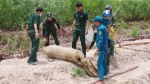 Bình Thuận: Xử lý an toàn quả bom nặng 450kg và hơn 110 quả đạn pháo