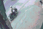 Khoảnh khắc gây ám ảnh: Người đàn ông đi xe máy bị ôtô mất lái tông văng khi đang dừng bên lề đường