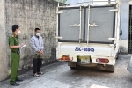 Nam thanh niên 'đánh' xe tải đi trộm cắp ở trụ sở Sở GD-ĐT, UBND huyện