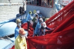 Phản đối Trung Quốc ngang ngược cấm đánh bắt cá trên Biển Đông
