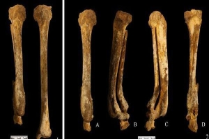 Phát hiện hài cốt phụ nữ có niên đại 3.000 năm, nhóm nghiên cứu hé lộ danh tính gây ngỡ ngàng qua đúng một chi tiết ở bàn chân