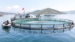 Ninh Thuận: Phấn đấu sản lượng thủy sản nuôi biển đạt 1,4 triệu tấn vào năm 2030