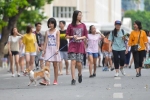 Hà Nội cấm mang thú cưng, loa công suất lớn vào phố đi bộ hồ Gươm