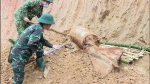 Yên Bái: Hủy nổ quả bom nặng 340 kg được phát hiện ở nền nhà người dân