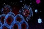 Bệnh nhân đầu tiên được tiêm virus diệt 5 loại ung thư