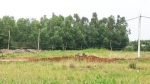 Thái Bình: Chuyển mục đích sử dụng đất tại tỉnh Thái Bình