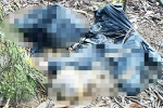 Đà Lạt: Phát hiện thi thể nam giới đang phân hủy trong rừng