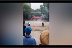 Người dân Thượng Hải đốt pháo hoa mừng thành phố kết thúc phong tỏa