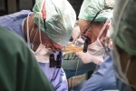Đột phá trong ghép tạng: Máy 'tái sinh' và nuôi gan người ngoài cơ thể nhiều ngày